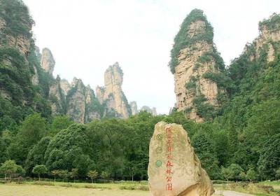 走湘西——張家界、鳳凰古城游記(一)